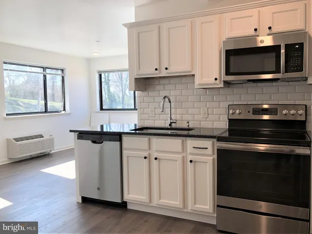 a kitchen with appliances a sink and cabinets