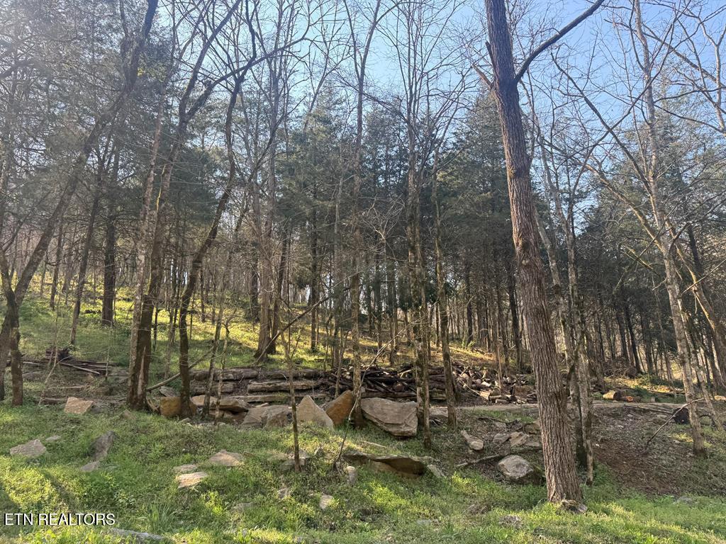 940 Riley Creek Road Whitleyville, TN 38588 - Photo 2 of 30 243123_4