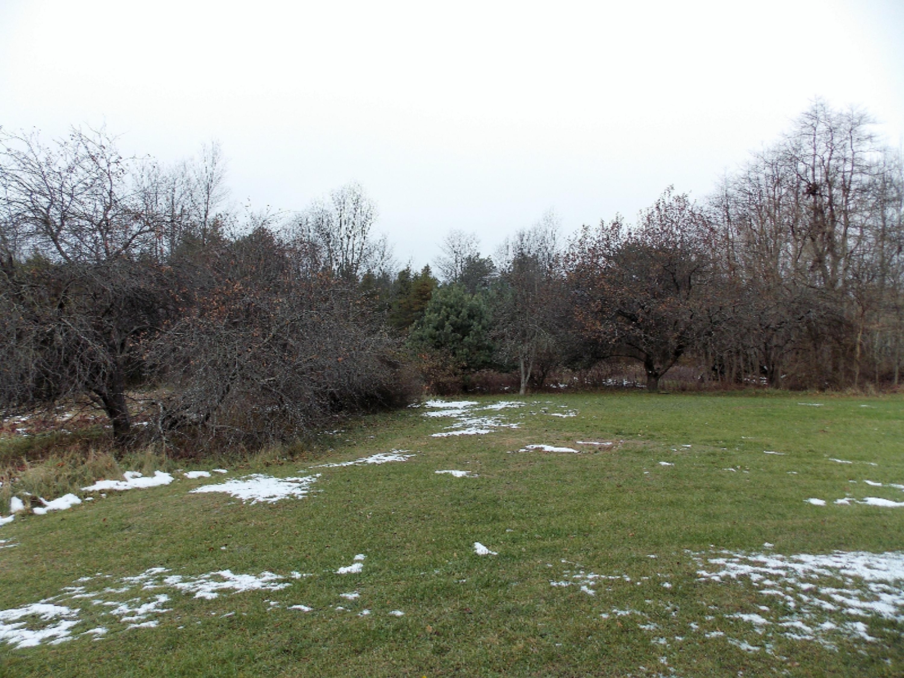 2680 Duck Lake Road Whitehall, MI 49461 - Photo 30 of 33 28 Acreage