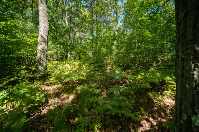 $44,900 | Emerald Ridge, Unit 29, Onekama, MI 49675