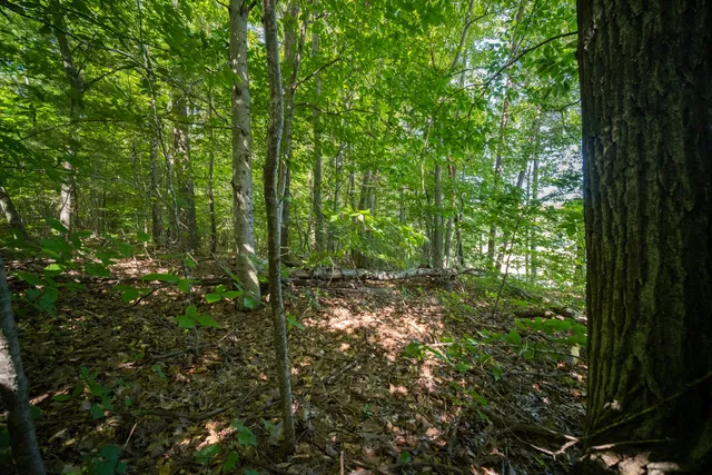 $44,900 | Emerald Ridge, Unit 29, Onekama, MI 49675