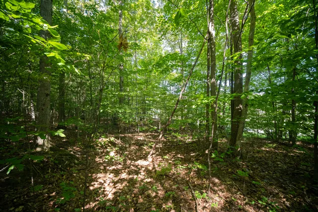 $44,900 | Emerald Ridge, Unit 29, Onekama, MI 49675