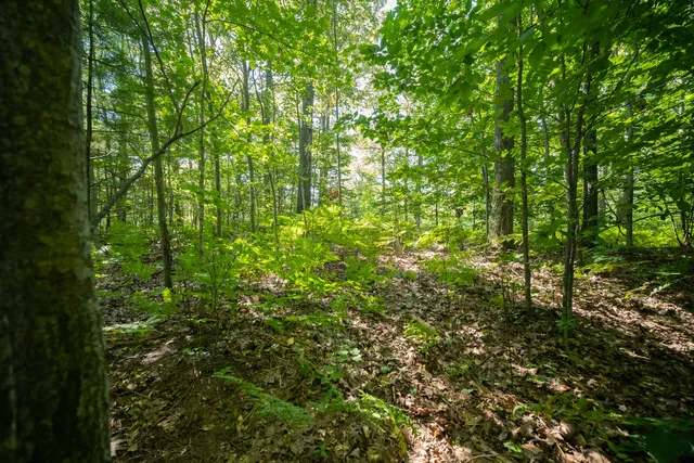 $44,900 | Emerald Ridge, Unit 29, Onekama, MI 49675