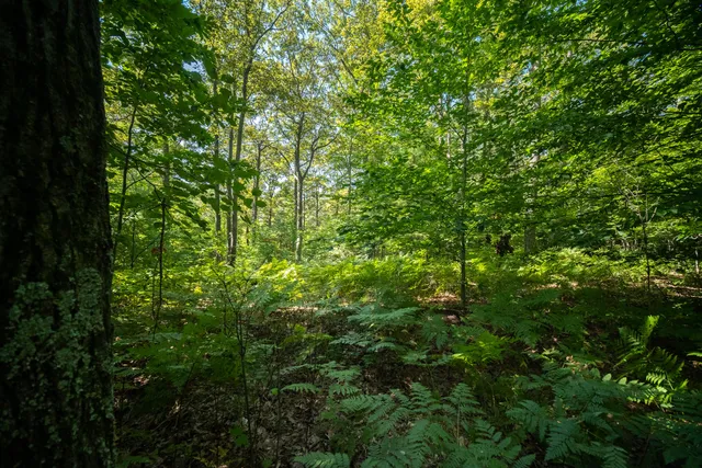 $44,900 | Emerald Ridge, Unit 29, Onekama, MI 49675