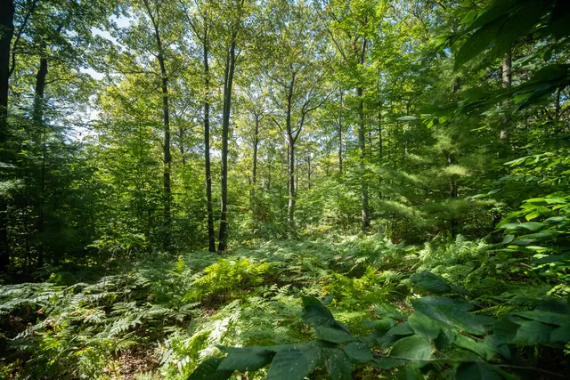 $44,900 | Emerald Ridge, Unit 29, Onekama, MI 49675