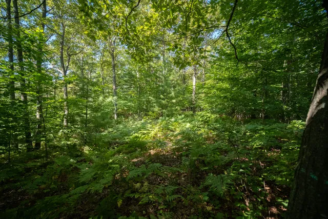 $44,900 | Emerald Ridge, Unit 29, Onekama, MI 49675