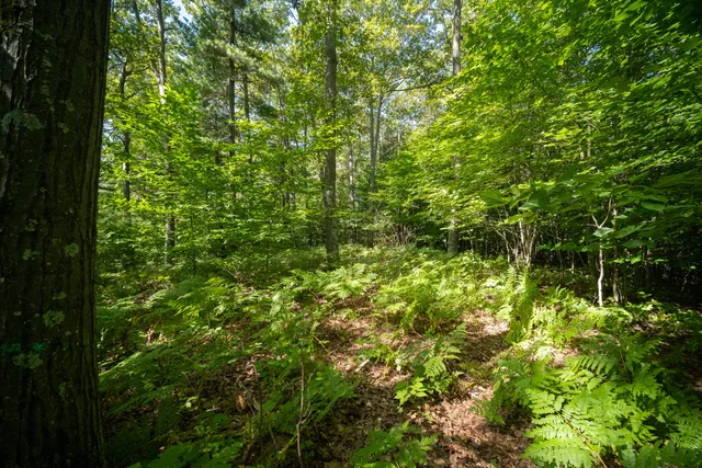 $44,900 | Emerald Ridge, Unit 29, Onekama, MI 49675