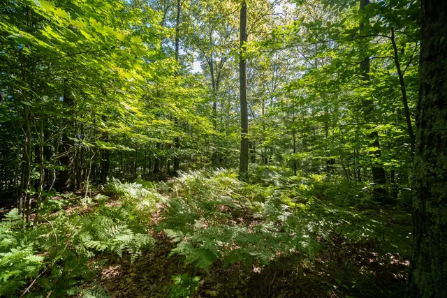 $44,900 | Emerald Ridge, Unit 29, Onekama, MI 49675