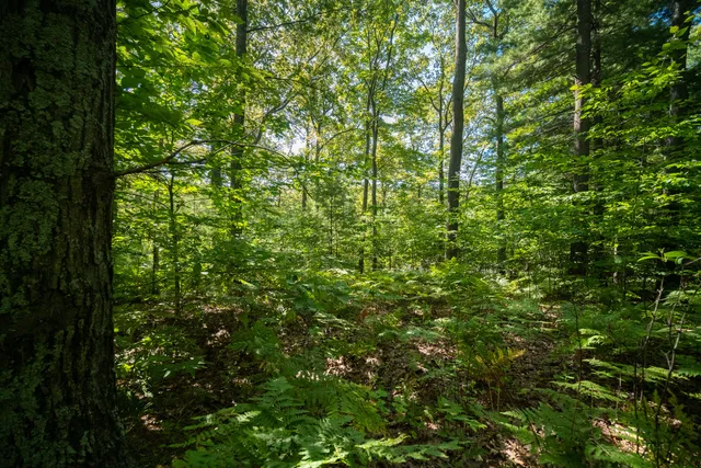 $44,900 | Emerald Ridge, Unit 29, Onekama, MI 49675