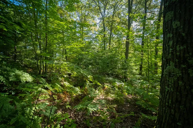 $44,900 | Emerald Ridge, Unit 29, Onekama, MI 49675