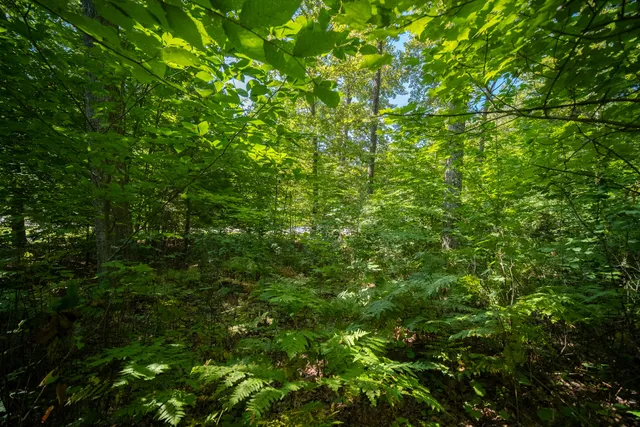 $44,900 | Emerald Ridge, Unit 29, Onekama, MI 49675