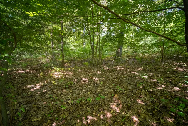 $44,900 | Emerald Ridge, Unit 29, Onekama, MI 49675