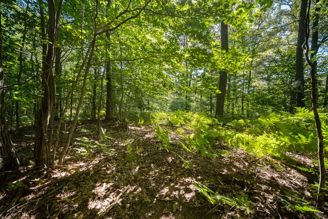 $44,900 | Emerald Ridge, Unit 29, Onekama, MI 49675