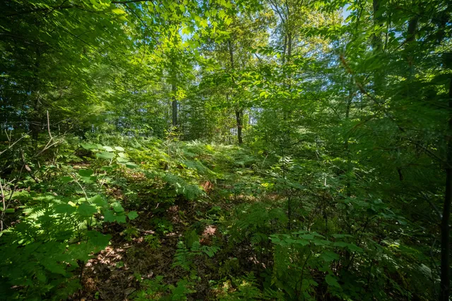 $44,900 | Emerald Ridge, Unit 29, Onekama, MI 49675