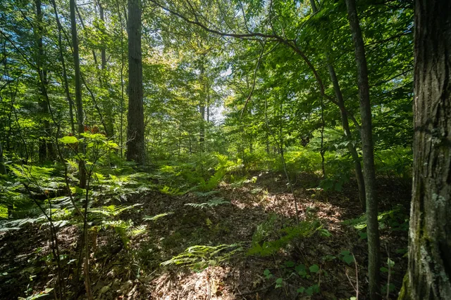 $44,900 | Emerald Ridge, Unit 29, Onekama, MI 49675