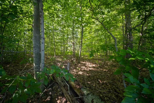 $44,900 | Emerald Ridge, Unit 29, Onekama, MI 49675