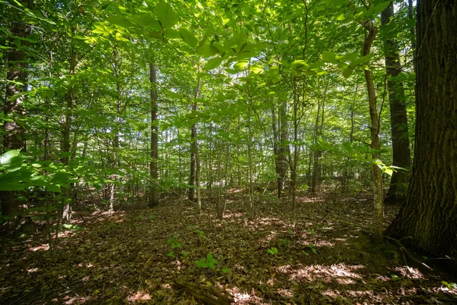 $44,900 | Emerald Ridge, Unit 29, Onekama, MI 49675