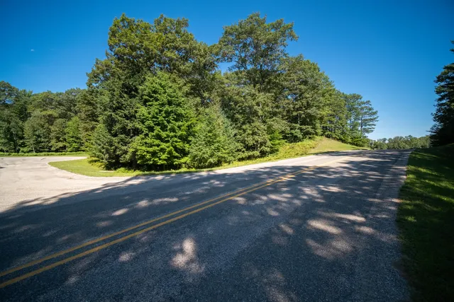 $44,900 | Emerald Ridge, Unit 29, Onekama, MI 49675