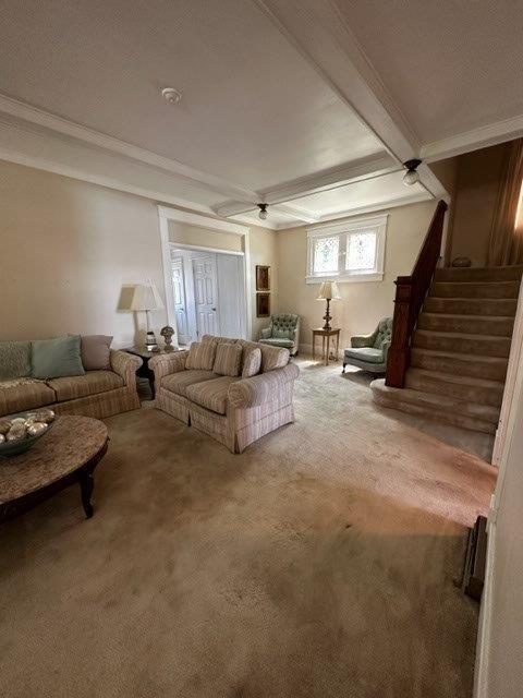 1321 Freeport Road Natrona Heights, PA 15065 - Photo 17 of 43 a living room with furniture