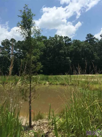 $275,000 | 17530 Stoney Point Burch Road, Pride, LA 70770