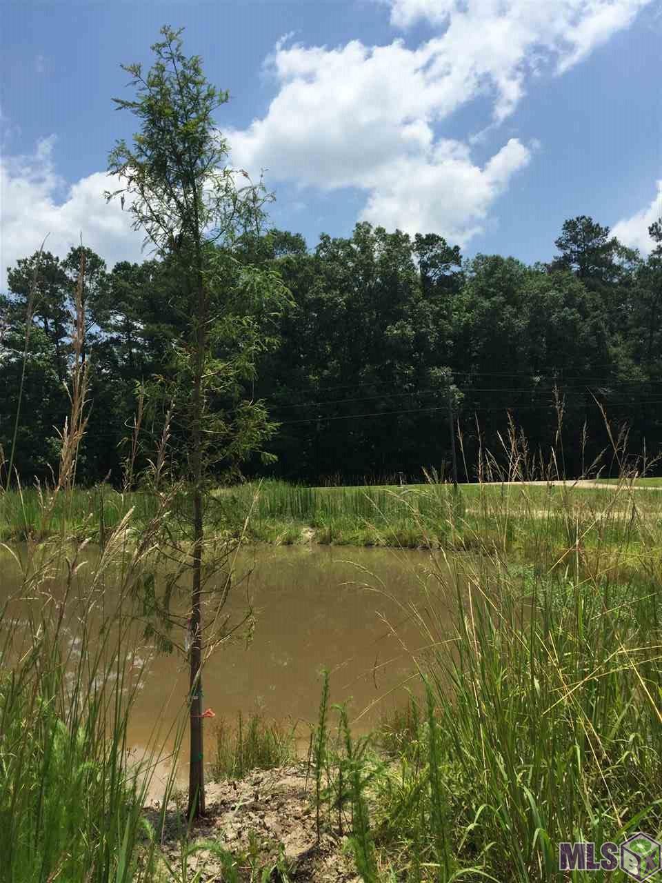 17530 Stoney Point Burch Road Pride, LA 70770 - Photo 11 of 16