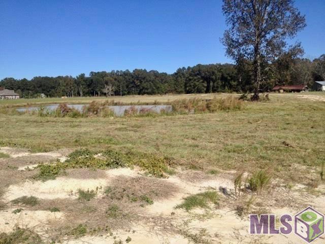 17530 Stoney Point Burch Road Pride, LA 70770 - Photo 12 of 16