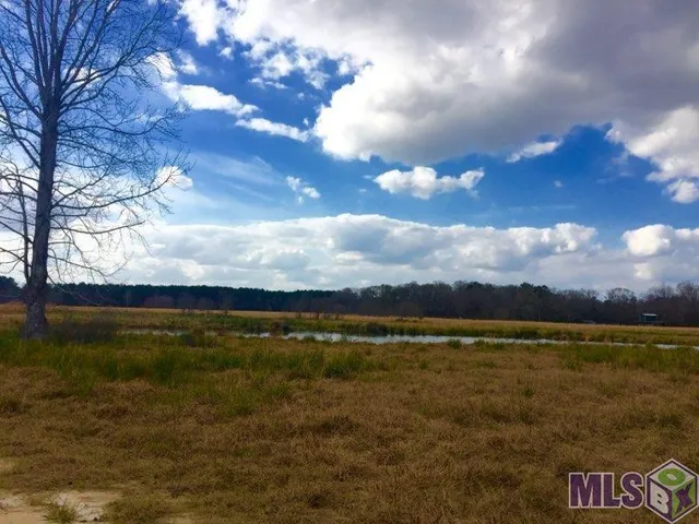 $275,000 | 17530 Stoney Point Burch Road, Pride, LA 70770