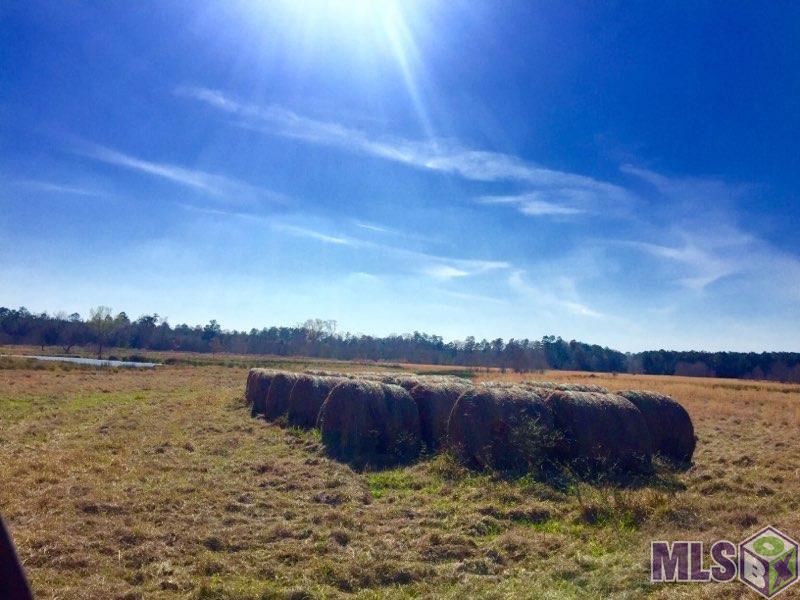 17530 Stoney Point Burch Road Pride, LA 70770 - Photo 15 of 16