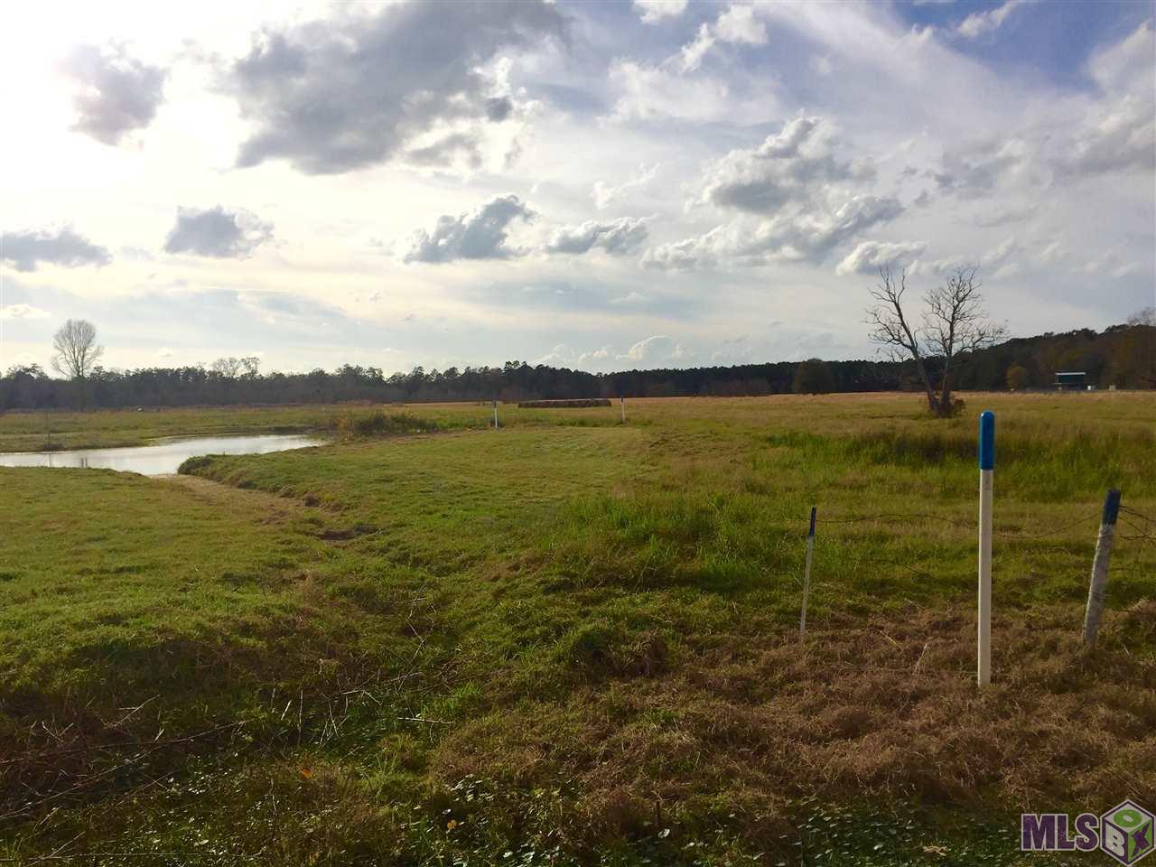 17530 Stoney Point Burch Road Pride, LA 70770 - Photo 4 of 16