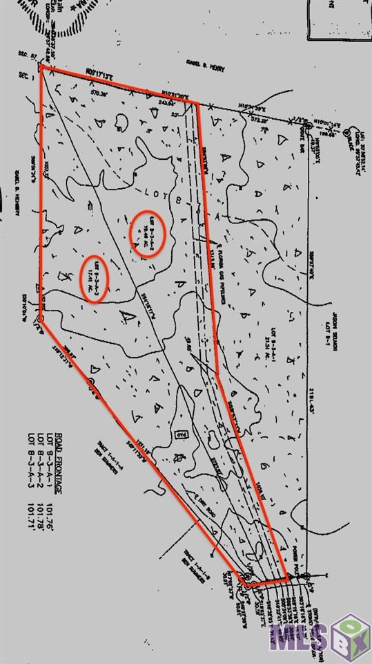 17530 Stoney Point Burch Road Pride, LA 70770 - Photo 7 of 16