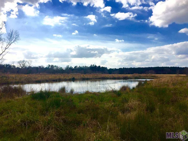 $275,000 | 17530 Stoney Point Burch Road, Pride, LA 70770