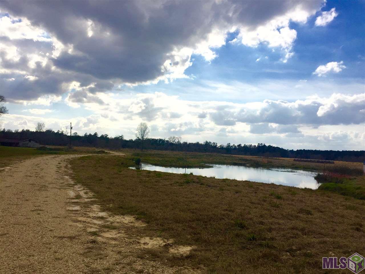 17530 Stoney Point Burch Road Pride, LA 70770 - Photo 9 of 16