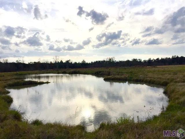 $275,000 | 17530 Stoney Point Burch Road, Pride, LA 70770