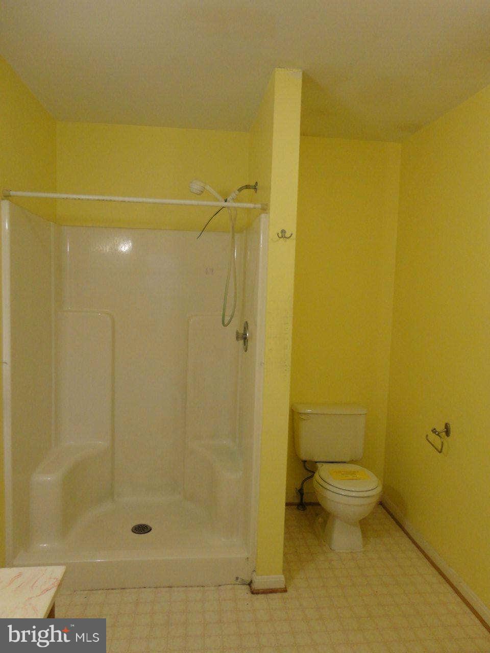 4445 Governor Almond Road Locust Grove, VA 22508 - Photo 27 of 30 Bath (Master)