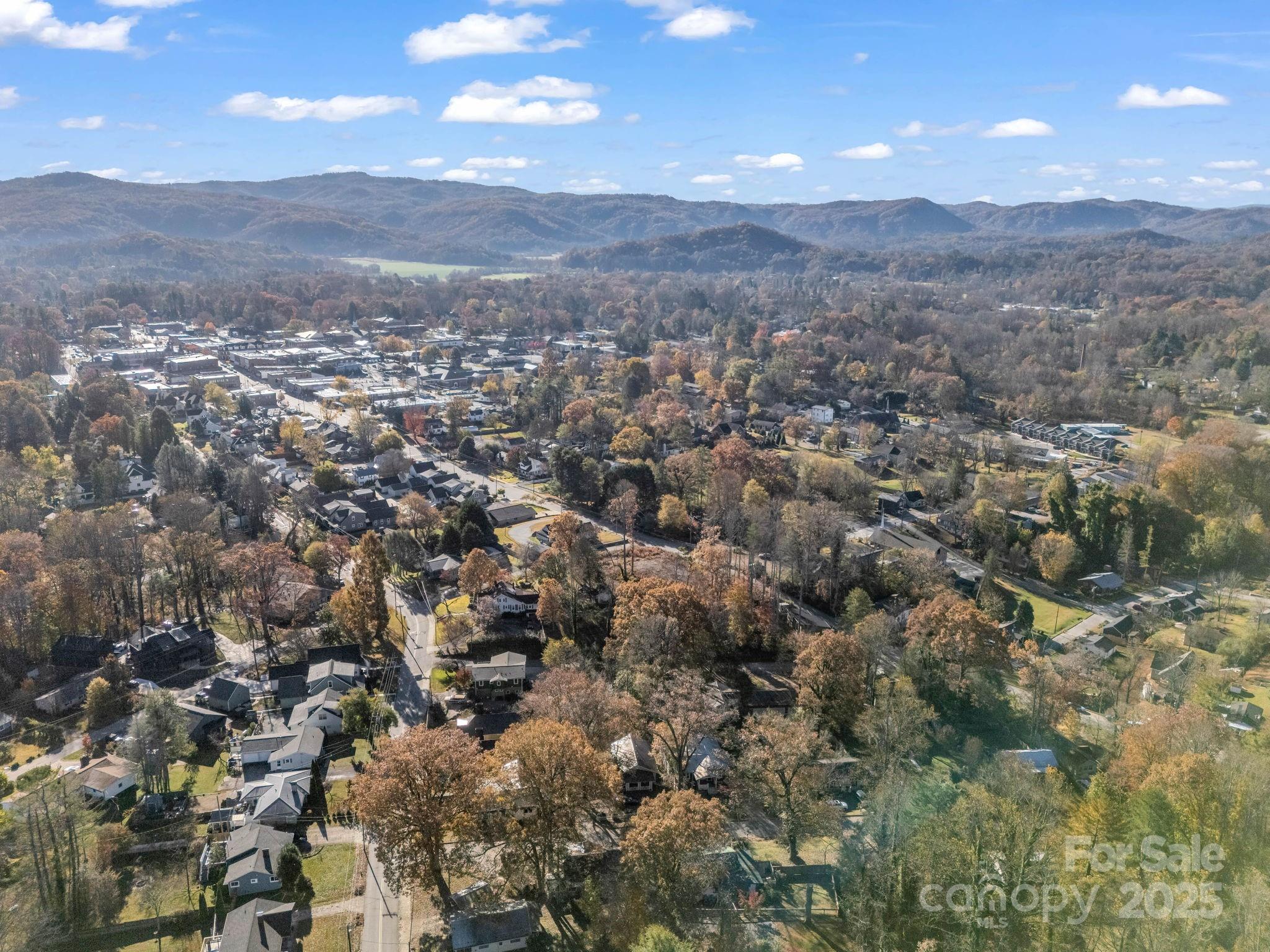 96 Thomas Street Brevard, NC 28712 - Photo 39 of 40