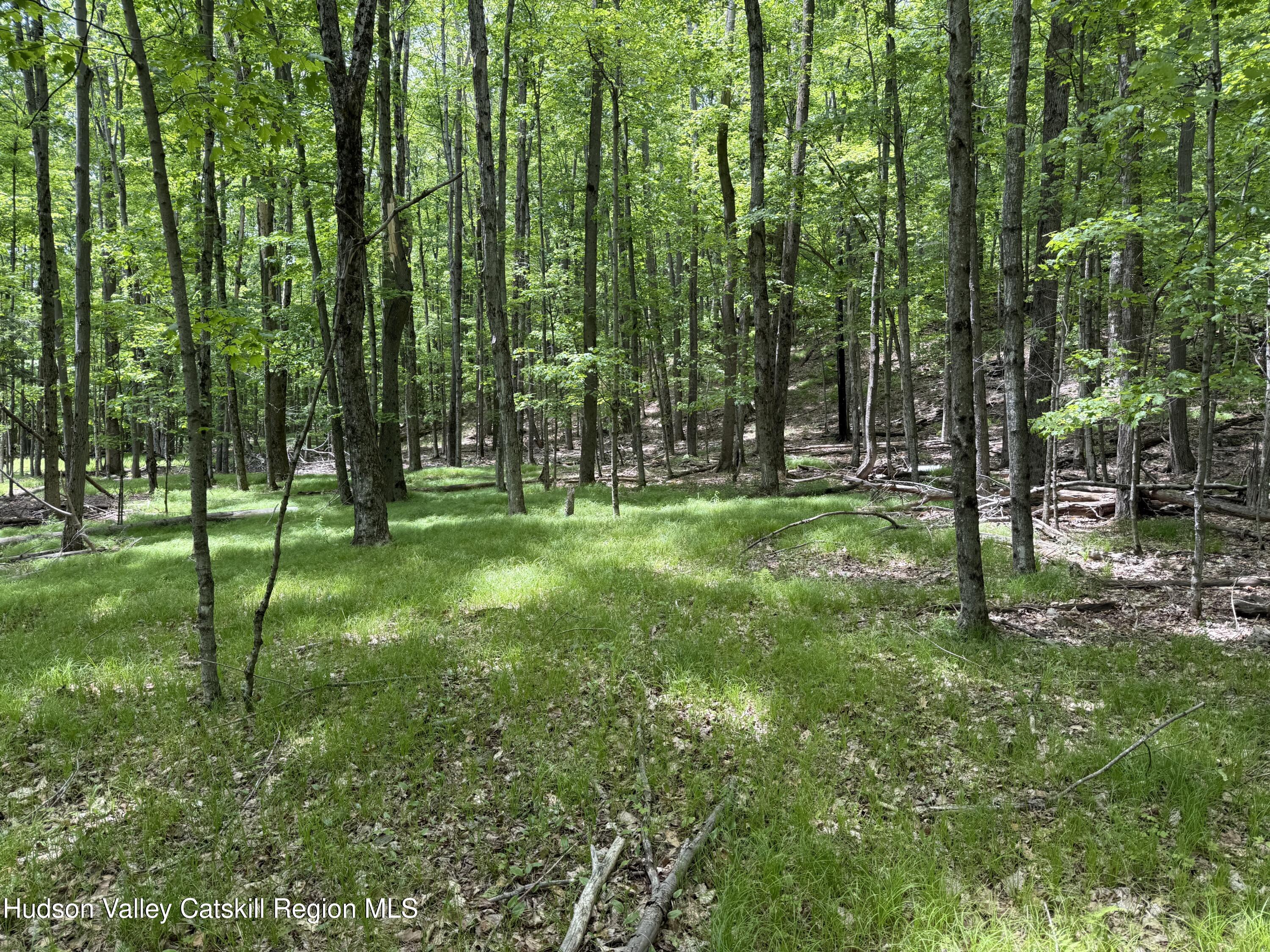 261 Bailey Road Jewett, NY 12444 - Photo 6 of 7 IMG_9061
