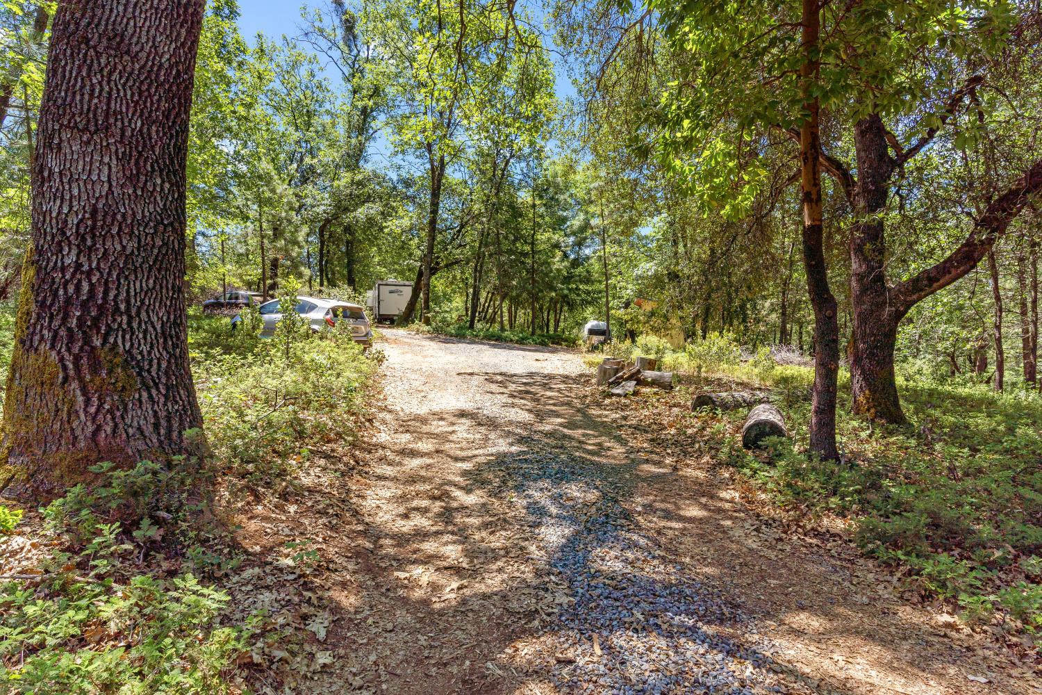 2640 Trail Gulch Road Placerville, CA 95667 - Photo 4 of 37 a backyard of a house with lots of green space