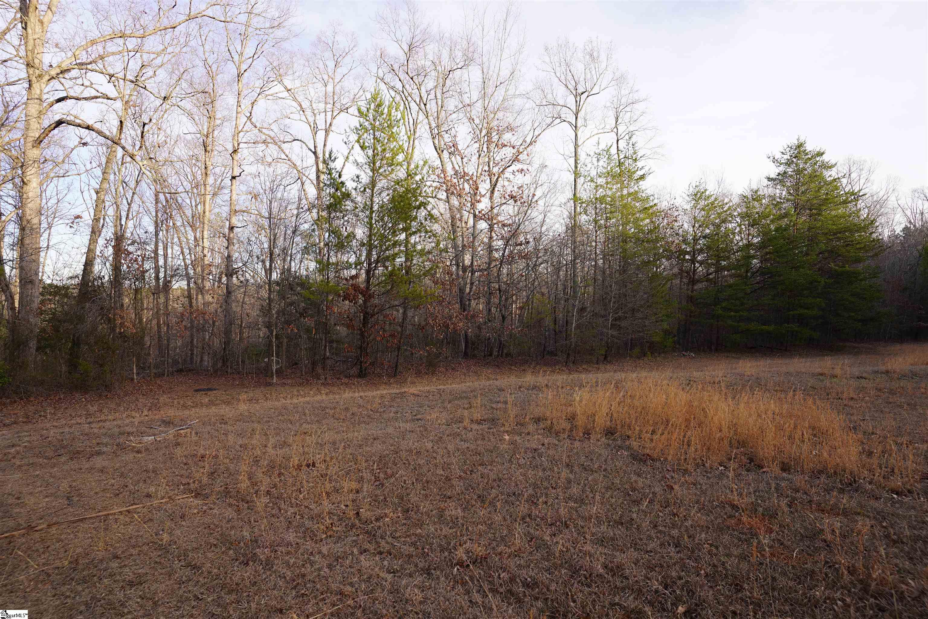 416 Bulls Road Taylors, SC 29687 - Photo 1 of 20