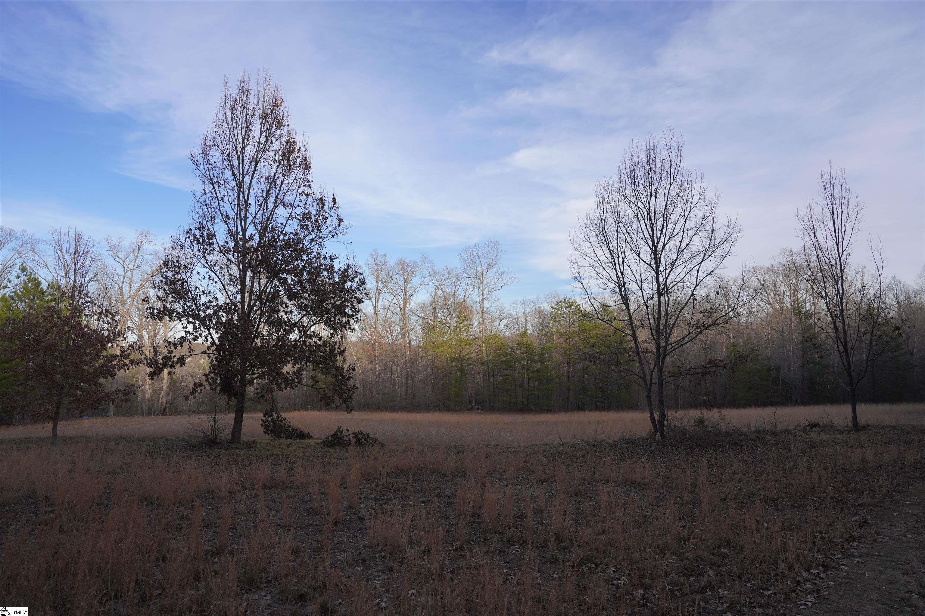 416 Bulls Road Taylors, SC 29687 - Photo 15 of 20