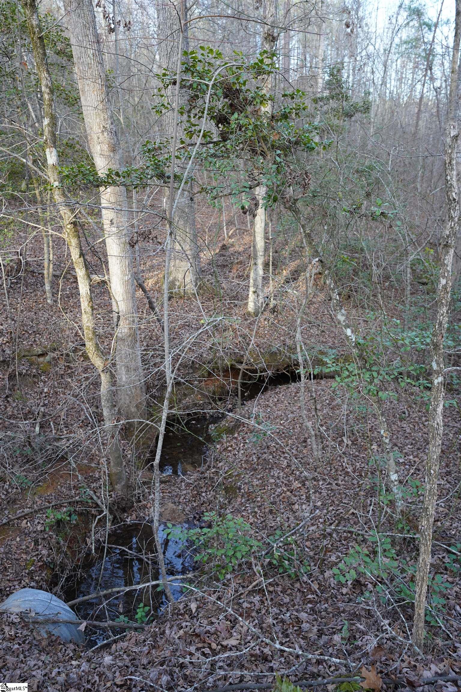 416 Bulls Road Taylors, SC 29687 - Photo 18 of 20