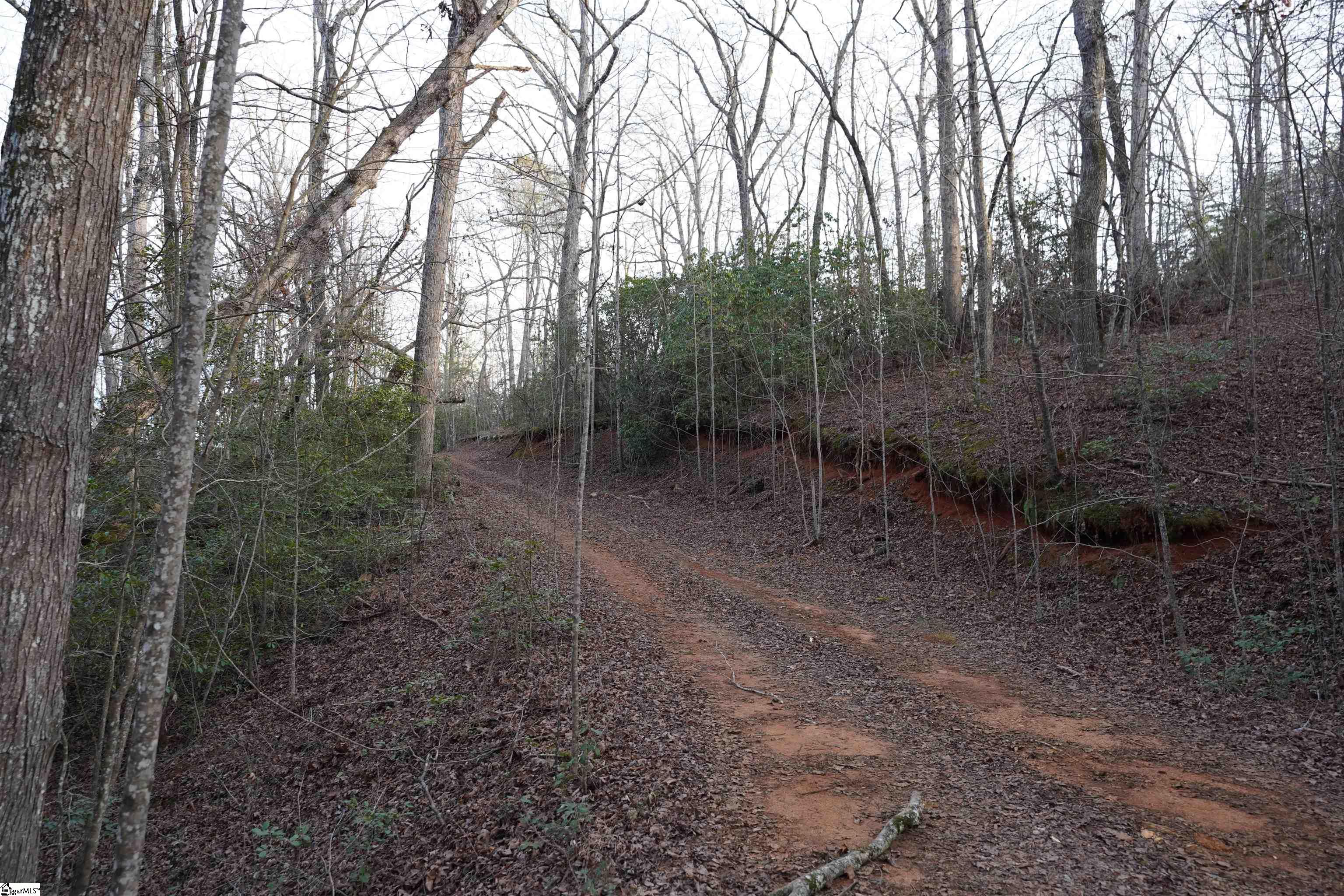 416 Bulls Road Taylors, SC 29687 - Photo 20 of 20
