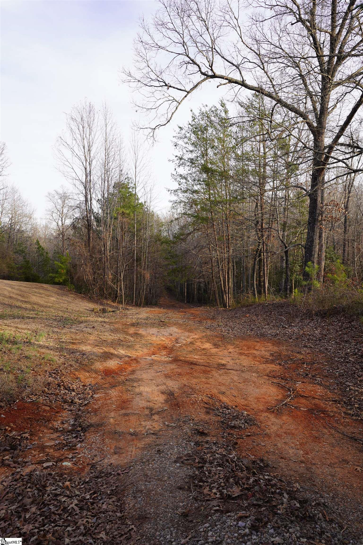 416 Bulls Road Taylors, SC 29687 - Photo 3 of 20
