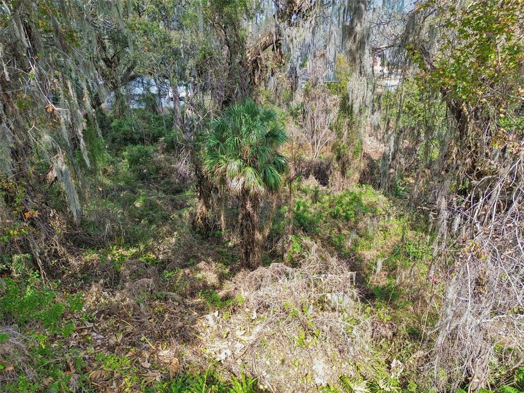 6543 Trail Ridge Drive, Unit 6543 Lakeland, FL 33813 - Photo 51 of 54 a view of a yard with a tree