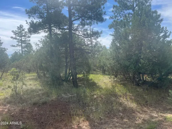 $79,900 | 5481 Red Squirrel Lane, Unit 55, Lakeside, AZ 85929