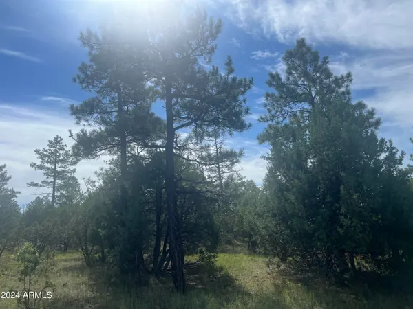 $79,900 | 5481 Red Squirrel Lane, Unit 55, Lakeside, AZ 85929