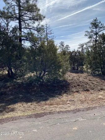 $79,900 | 5481 Red Squirrel Lane, Unit 55, Lakeside, AZ 85929