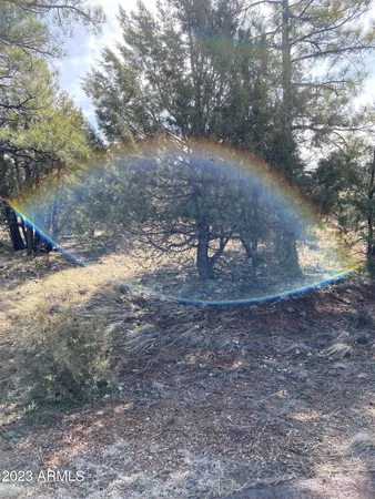 $79,900 | 5481 Red Squirrel Lane, Unit 55, Lakeside, AZ 85929