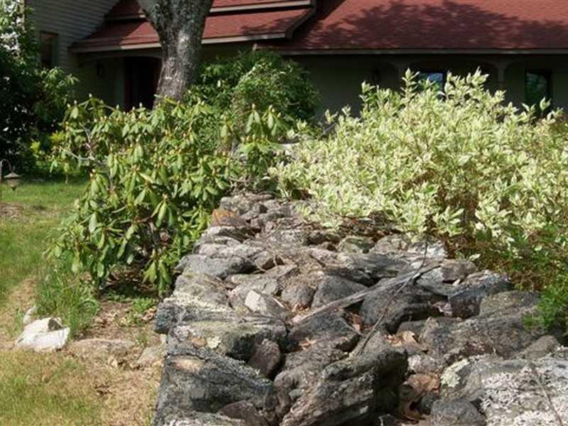 45 Dwelly Point Road Franklin, ME 04634 - Photo 24 of 30 Yard/Garden.
