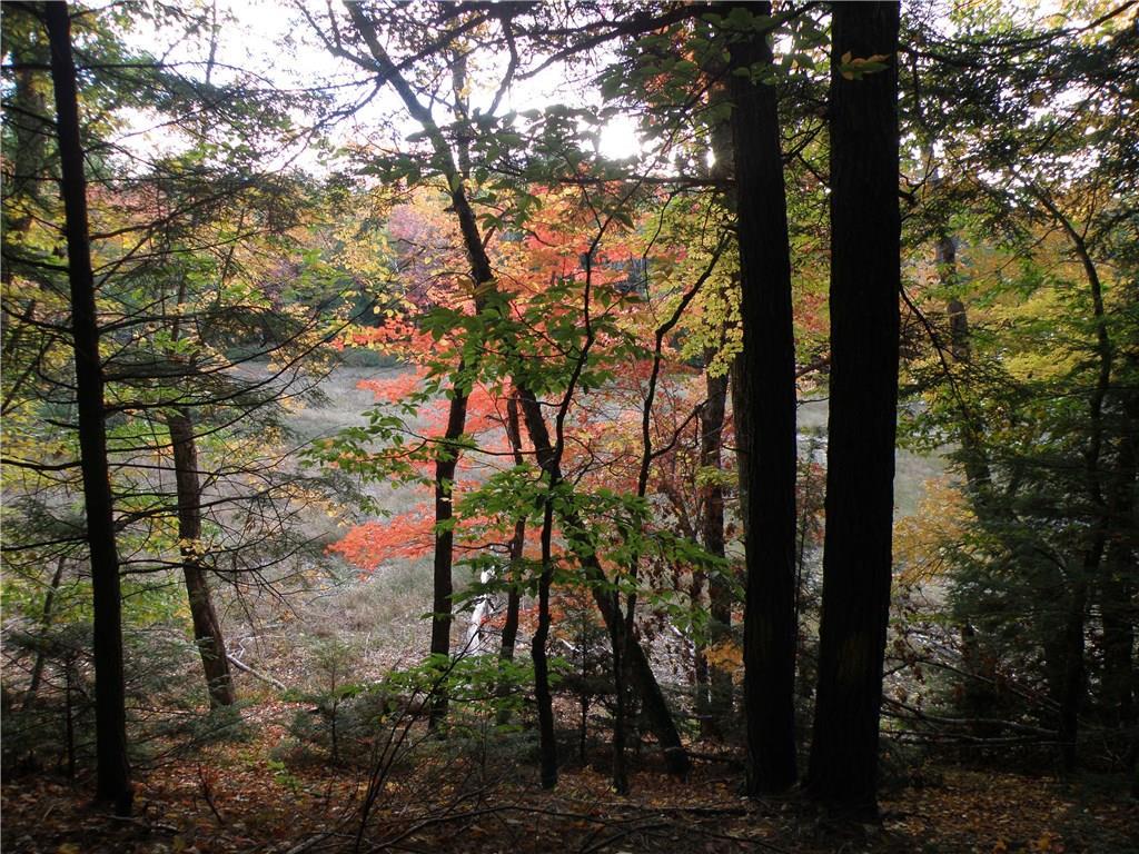 Lot 23 Lilly Pond Road Beddington, ME 04622 - Photo 3 of 29 Photo