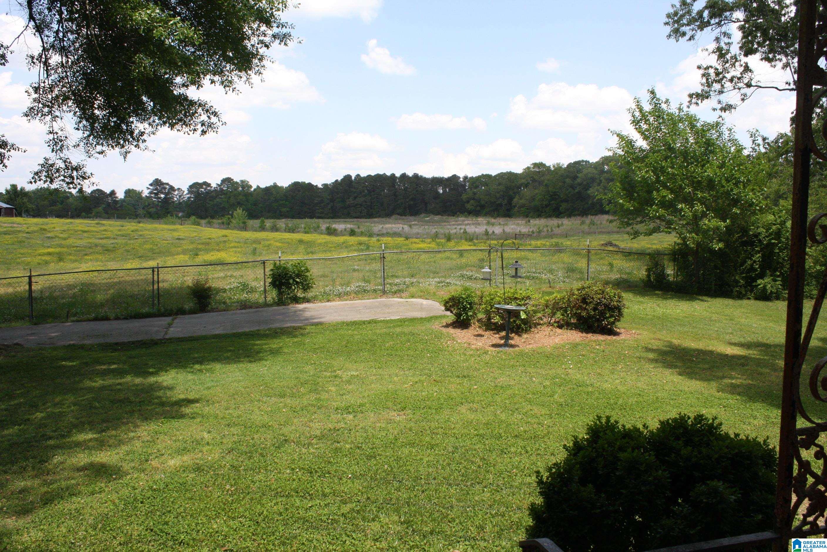 6083 Tommy Town Road Mount Olive, AL 35117 - Photo 8 of 45